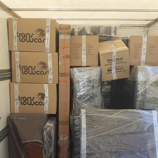 Professional moving service provider